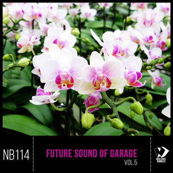 Various Artists - Future Sound of Garage, Vol. 5