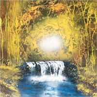 Tigre Blanco - Swamp