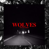 Dylan Usher - Wolves (Explicit)
