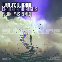 John O'Callaghan - Choice of the Angels (Sean Tyas Remix)
