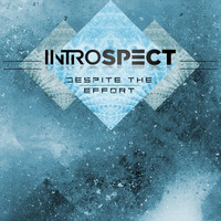 Introspect - Despite the Effort