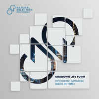 unknown life form - Synthetic Paradise (Back in Time)