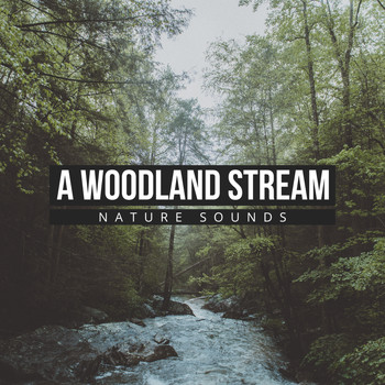 Nature Sounds - A Woodland Stream