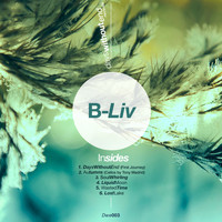 B-Liv - Insides