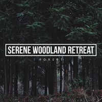 Forest - Serene Woodland Retreat