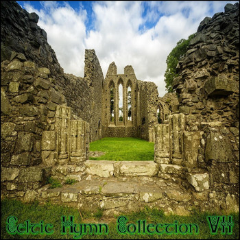 Derek Fiechter & Brandon Fiechter - Celtic Hymn Collection VII