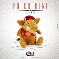 Ivee - Phacochère