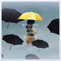 Arctic Mirror - Binaural Calm Rain Sounds