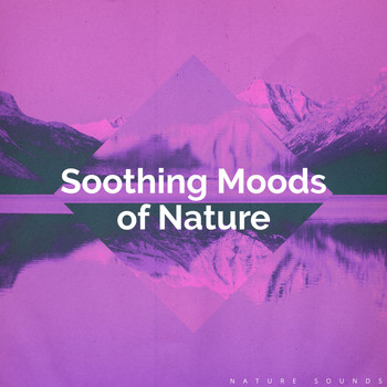 Nature Sounds - Soothing Moods of Nature