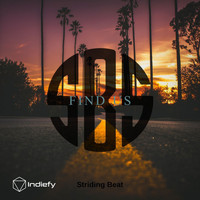 Striding Beat - Find Us (Explicit)