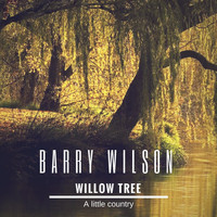 Barry Wilson - Willow Tree