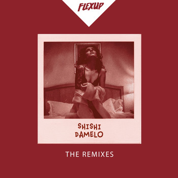 Shishi - Damelo (The Remixes)