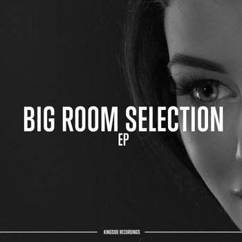 Various Artists - Big Room Selection