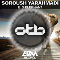 SOROUSH YARAHMADI - Big Elephant