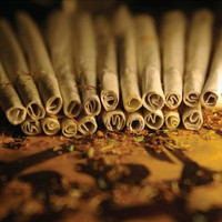 Illinformed - Weed Money
