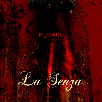 M_Evans - La Senza