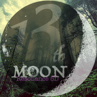 Techdubmonk - Resonance (13th. moon 5D Versions)