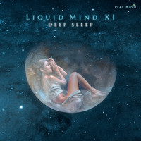 Liquid Mind - Liquid Mind XI:  Deep Sleep