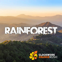 Clockwork Orange Music - Rainforest