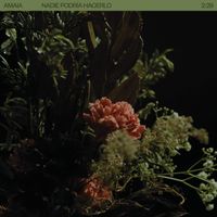 Amaia - Nadie Podría Hacerlo