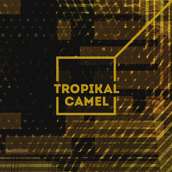 Tropikal Camel - Eretz