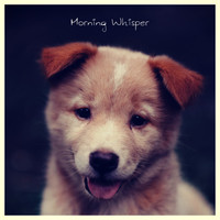 Dog Music, Meeresrauschen, Detente Spa Musique Collection - Morning Whisper