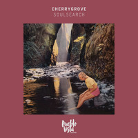 Cherrygrove - soulsearch