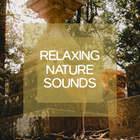 Dormir, Relaxing Music, Relaxing Music Therapy - Relaxing Nature Sounds