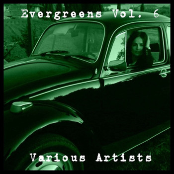 Various Artists - Evergreen, Vol. 6 (Explicit)