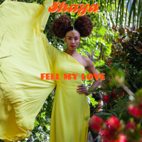 Shaya - Feel My Love
