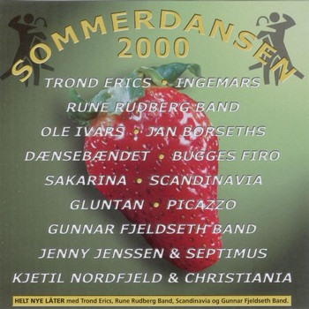 Various Artists - Sommerdansen 2000