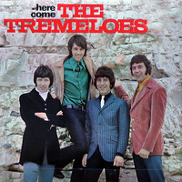 The Tremeloes - Here come The Tremeloes