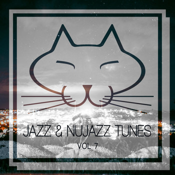 Various Artists - Jazz & Nujazz Tunes, Vol. 7