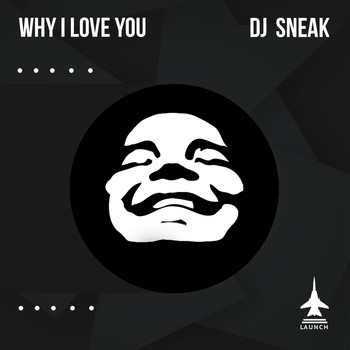 DJ Sneak - Why I Love You