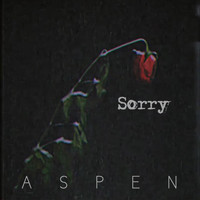 Aspen - Sorry (Explicit)