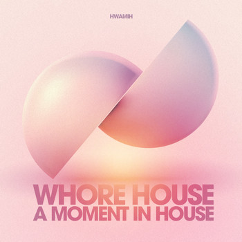 Various Artists - Whore House a Moment in House (Explicit)