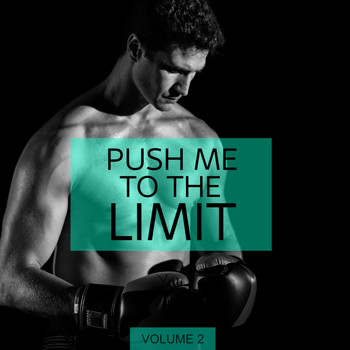 Various Artists - Push Me To The Limit, Vol. 2 (Blood, Sweat And Tears. Finest Motivation Sound For Your Ears.)
