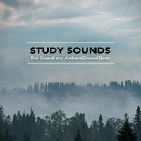 Binaural Beats Sleep, Study Music & Sounds, Binaural Beats Library - Study Sounds: Rain Sounds and Ambient Binaural Beats, Study Alpha Waves, Isochronic Tones and Music For Brainwave Entrainment and Deep Focus and Concentration