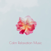 Dormir, Relaxing Music, Relaxing Music Therapy - Calm Relaxation Music