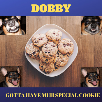 Andy Garrett - Dobby - Gotta Have Muh Special Cookie