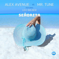 Alex Avenue, Mr. Tune - Señorita