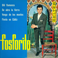 Fosforito - Olé Flamenca