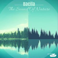 Bacila - The Sound Of Nature