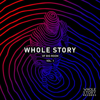 Various Artists - Whole Story Of Big Room Vol. 1