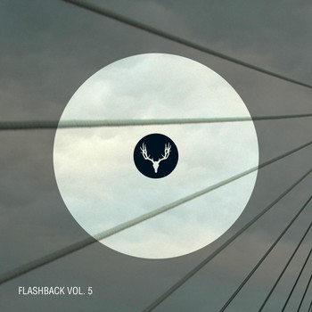 Various Artists - Flashback Vol. 5