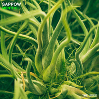 Sappow - Menthol