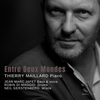 Thierry Maillard - Entre deux mondes