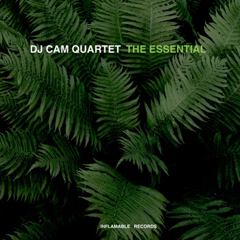 DJ Cam Quartet - The Essential