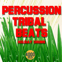 Holiday Drums - Percussion Tribal Beats