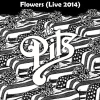 The Pits - Flowers (Live 2014)